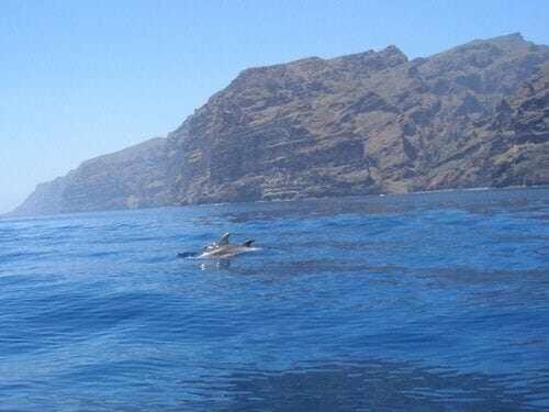 El Paraiso En Los Gigantes Santiago Del Teide Luaran gambar