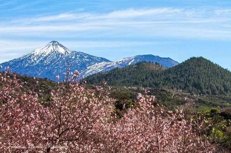 El Paraiso En Los Gigantes Santiago Del Teide Luaran gambar